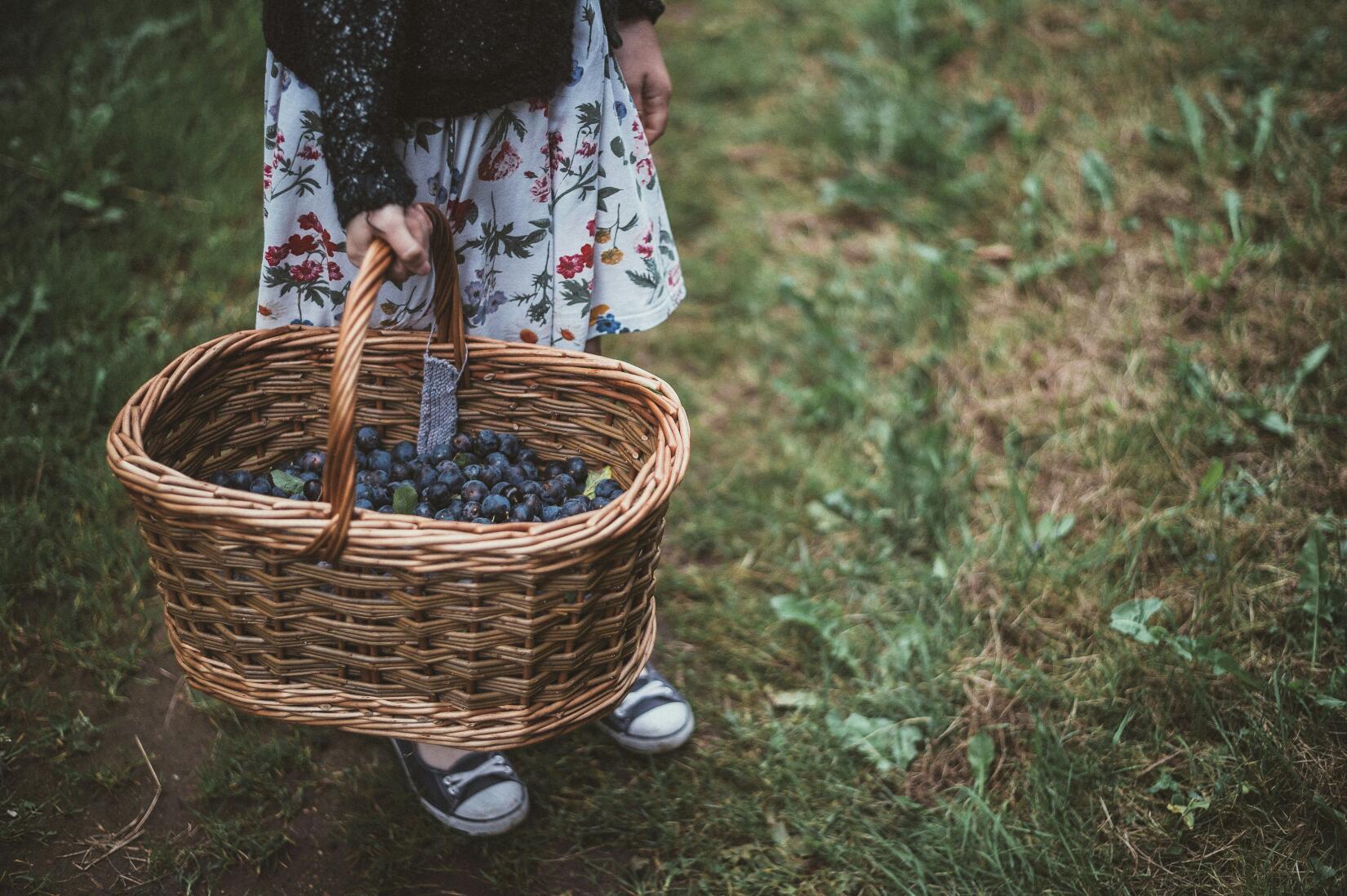 Food and drink - plums