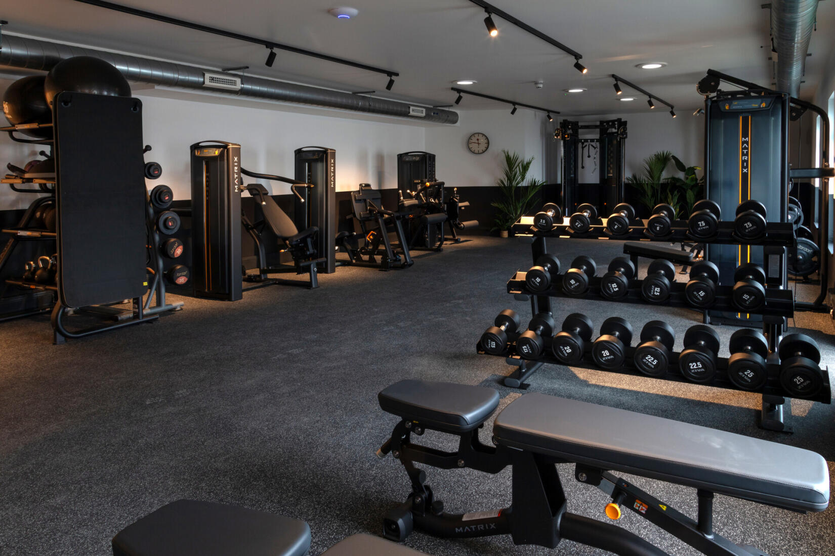 Active - seaspace gym