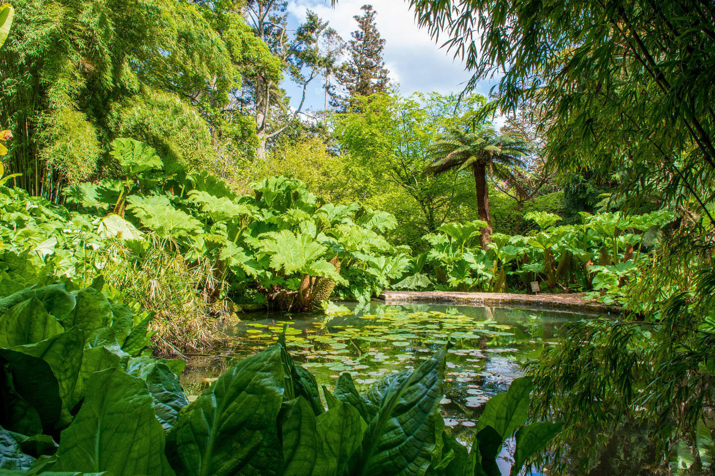 The Lost Gardens of Heligan