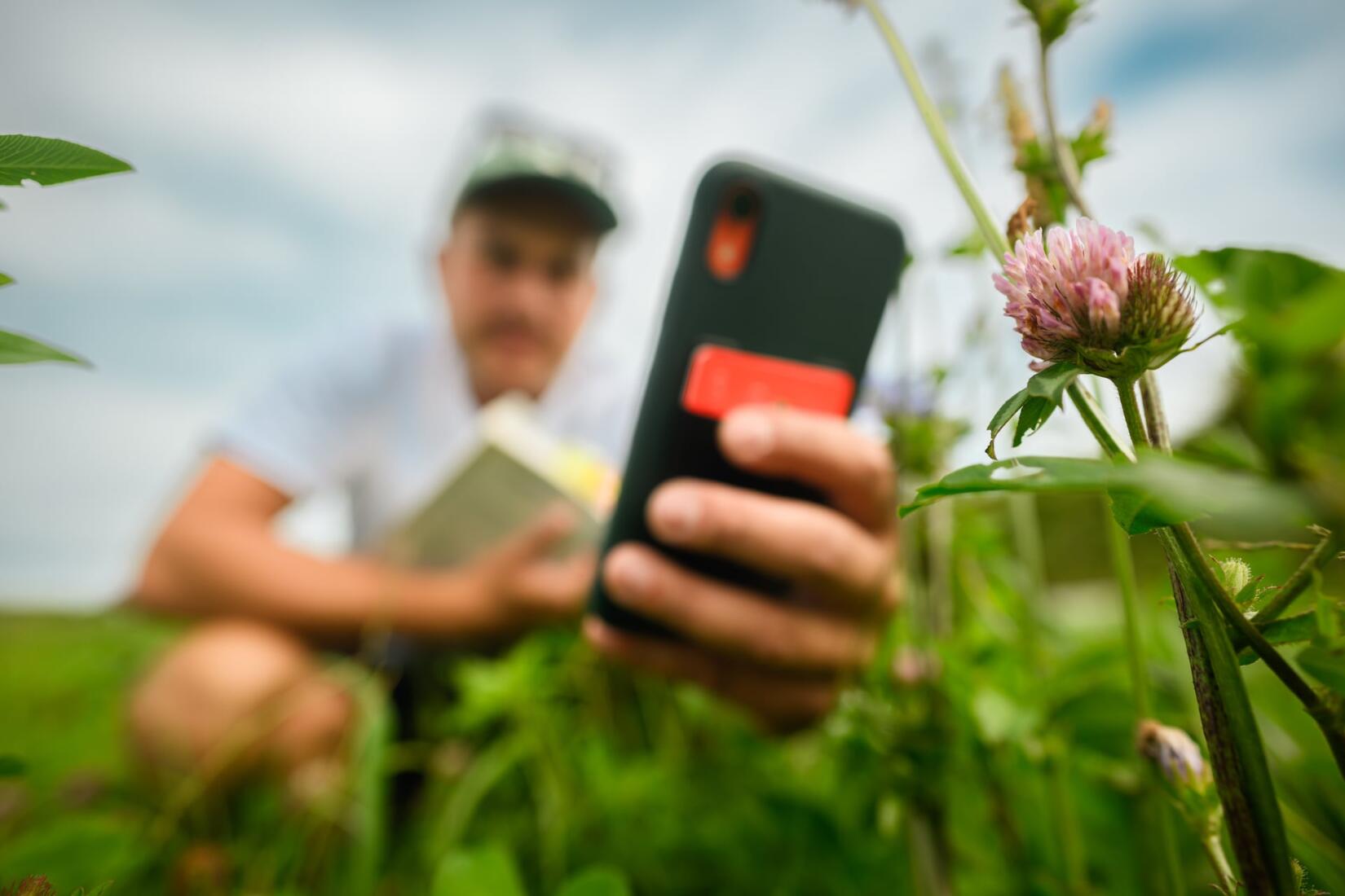 Bioblitz