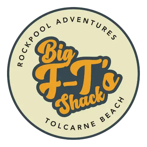 Big F-T logo