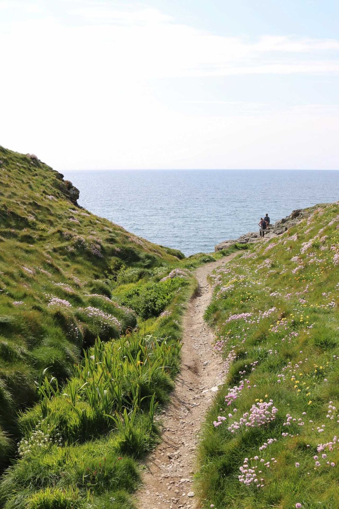 Small path on the south west coast path looking out towards the sea